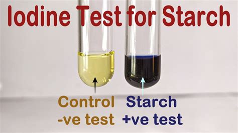 iodine vs starch testing